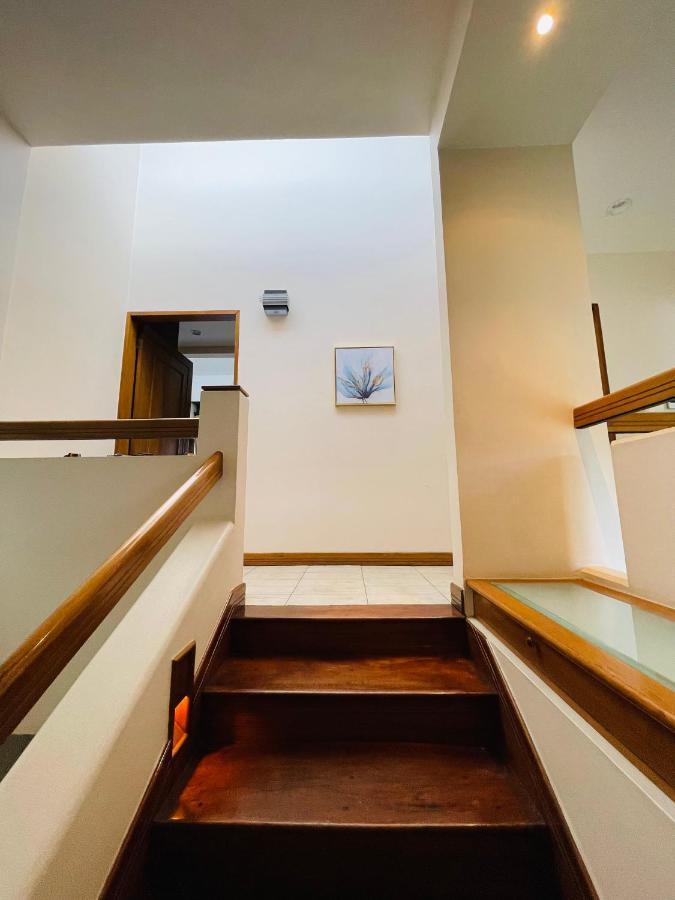 סן חוזה The Rainier Bed & Breakfast 5 מראה חיצוני תמונה